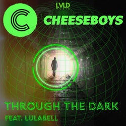 Through The Dark