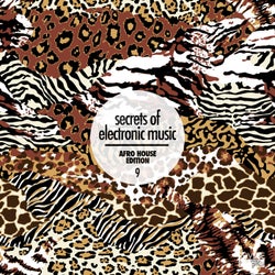 Secrets of Electronic Music: Afro House Edition, Vol. 9