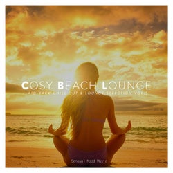 Cosy Beach Lounge, Vol. 5