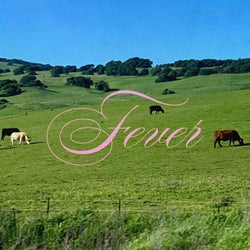 fever