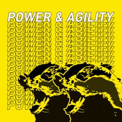 Power & Agility