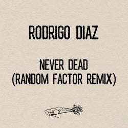 Portada de Never Dead (Random Factor Remix)