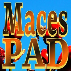 Maces (Paduraru Fitness Mix)