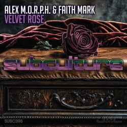 Velvet Rose