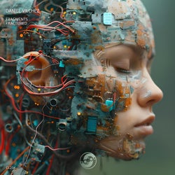 Fragments