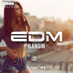 Bangin EDM, Vol. 4