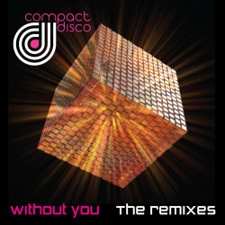 Without You Remixes