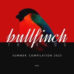 Bullfinch Summer 2023 Compilation