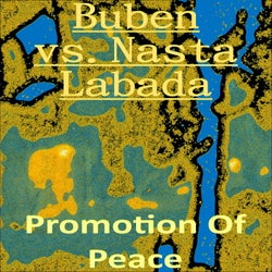 Promotion Of Peace