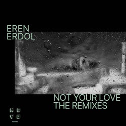 Not Your Love - The Remixes