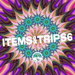 Items & Trips 6