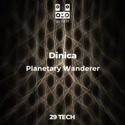 Planetary Wanderer