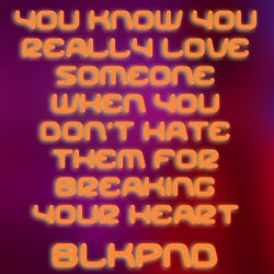 YOU KNOW YOU REALLY LOVE SOMEONE WHEN YOU DON'T HATE THEM FOR BREAKING YOUR HEART