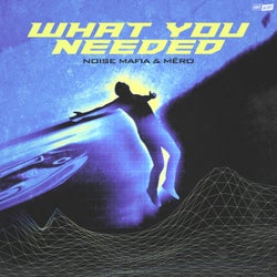 What You Needed