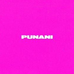 Punani