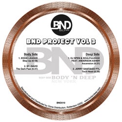 BND Project Vol 3