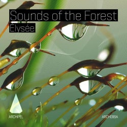 Sounds Of The Forest