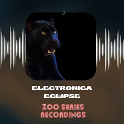 Electronica Eclipse