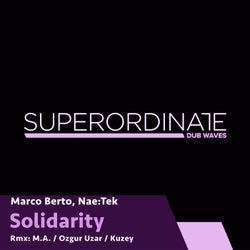 Solidarity ( the Remixes )