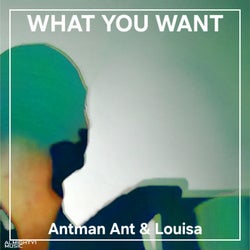 What You Want