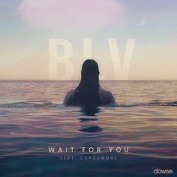 Wait For You (feat. CARDAMONE)