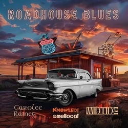 Roadhouse Blues (Cover)