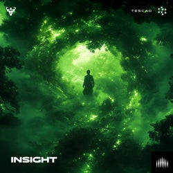 Insight (Extended Mix)