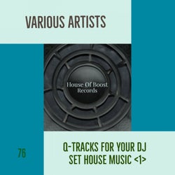 Q-TRACKS FOR YOUR DJ SET HOUSE MUSIC 1