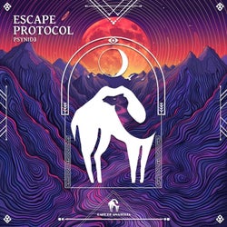 Escape Protocol
