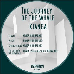 The Journey Of The Whale