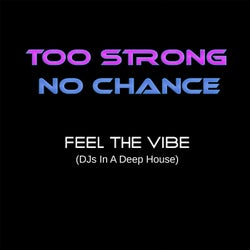 Feel the Vibe Dj's in a Deep House (DJ N-Joy Undergound Club Mix)
