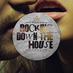 Rocking Down The House - Electrified House Tunes Vol. 24