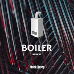 Boiler