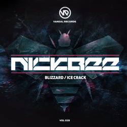 Blizzard / Ice Crack
