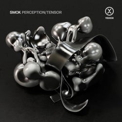 Perception / Tensor