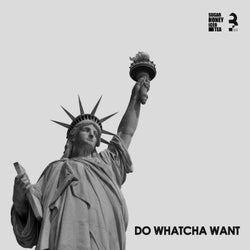 Do Whatcha Want (3SDS Remix)