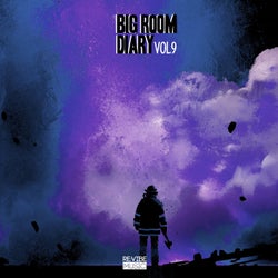 Big Room Diary, Vol. 9