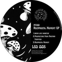 Reciprocal Moment EP