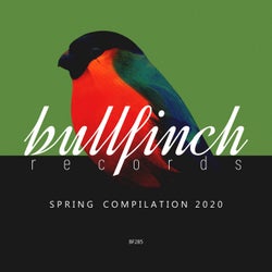Bullfinch Spring 2020 Compilation