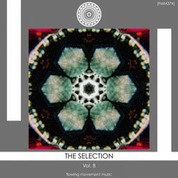 The Selection, Vol. 8