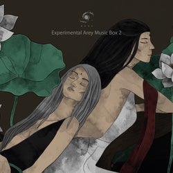 Experimental Arey Music Box 2