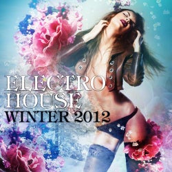 Electro House Winter 2012