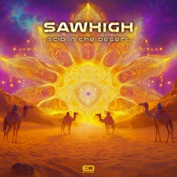 Acid In The Desert
