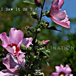 Pollination