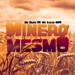 Minero Mesmo