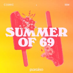 Summer Of 69 (Extended Mix)