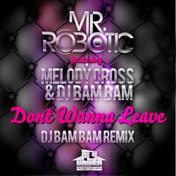 Dont Wanna Leave (DJ Bam Bam Remix)