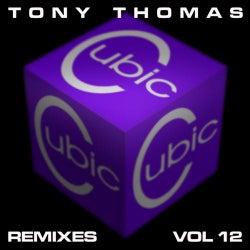 TT Remixes Volume 12