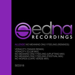 No Meaning Only Feeling (Remixes)