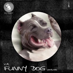 Funny Dog Compilation